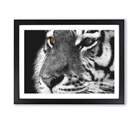 Eyes Of The Tiger Painting Modern Art Framed Print | A3 Black Framed Wall Art | Ready to Hang | Modern Animal Picture | Living Room Bedroom Lounge Office