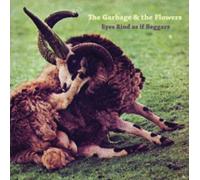 Eyes Rind As If Beggars