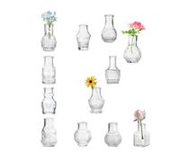 EylKoi Clear Glass Bud Vase Cute Mini Vases 12Pcs Flowers Vintage Small Glass Tiny in bulk Different Shape Modern Set Lovely for Decor Table Wedding Home Table Centerpieces Dinning Party
