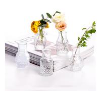 EylKoi Glass Bud Vase Clear Mini Vases 5Pcs Flowers Cute Vintage Small Glass Tiny in bulk Different Shape Modern Set Lovely for Decor Table Wedding Home Table Centerpieces Dinning Party
