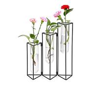 EylKoi Glass Test Tubes Test Tube Flower Vases with 3 Test Tubes, Hinged Flower Vases Black Metal Frame can be Bent, Desktop Glass Planter Tubos De Ensayo for Hydroponics Home Office Table Decor