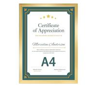 EYMPEU Gold A4 Picture Frame, Display Pictures 8x6 with Mat or A4 Without Mat, A4 Photo Frames with Stand for Certificates, Posters, Artwork on a Wall or Desktop- Single