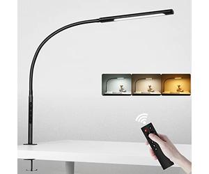 EYOCEAN 12W Desk Lamp with Remote Control, LED Eye Protection, Adjustable Color Temperature, Touch Control, Memory and Timing Function, for Good Work Reading Fun