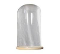 EYRMQWJPC Glass Cloche Dome, Glass Cloche Dome Display With Wood Base 23cm Diameter Height 30-40cm(Dia23*H40cm)