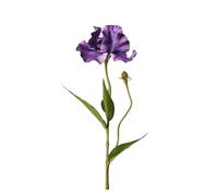 EYRMQWJPC PU Artificial Flower, Pack Of 5 Purple Artificial Iris Flowers 70cm For Wedding Home Decoration(Purple)