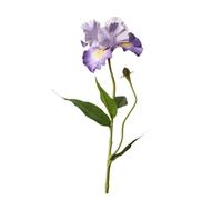 EYRMQWJPC PU Artificial Flower, Pack Of 5 Purple Artificial Iris Flowers 70cm For Wedding Home Decoration(Purple Potato)