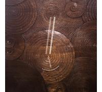 Eyvind Kang & Jessika Kenney - Reverse Tree [VINYL]