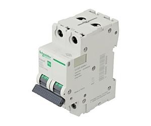 EZ9F57263 Overcurrent Switch 230/400VAC lRated: 63A Pole: 2 Characts: C 6kA C...