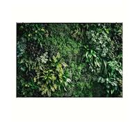 EZAGBPJK 1 Piece Of Green Tropical Palm Leaf Polyester Photography Background, Summer Flowers, Natural Jungle, Wildlife Park perfection(180X230cm)