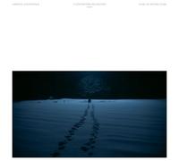 Ezaki Ayatake - 5 Centimeters Per Second Live-Action Movie Original Soundtrack [Vinyl LP] [VINYL]