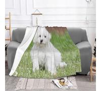 EZDLOWVBA Bichon Frise Dog Print Fleece Throw Blanket For Couch Sofa Bed, Cozy Fuzzy Soft Lightweight Warm Blankets For All Seasons