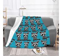 EZDLOWVBA Cartoon Cute Raccoon Print Fleece Throw Blanket For Couch Sofa Bed, Cozy Fuzzy Soft Lightweight Warm Blankets For All Seasons
