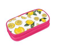 EZDLOWVBA Lemon Fruit Pattern Print Pencil Cases Boys Girls Lovely Pencilcase with Zip Organizer for Students Pencil Case for Daughter Son Desk Pencil Pouch