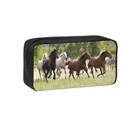 EZDLOWVBA Various Kinds of Horses Print Portable Student Kids Pencil Case Pen Bag Durable Stationery Pouch,Capacity Bag Pouch Holder
