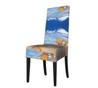 EZDLOWVBA Wishing Bottle Seascape Print Dining Chair Covers Slipcover Washable, Armless Chair Slipcover For Dining Room,Parson Chair Protector For Dining Room(1pcs)