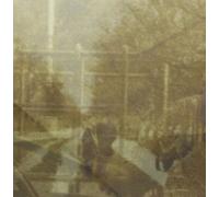 Ezekiel Honig - Folding In On Itself