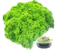 Ezitruz 300 g Fake Moss, Artificial Moss Light Green for Decorating Indoor Plant Pots Crafts Landscaping Garden Model Making Wall Decor