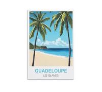 EZMLFA DIY Oil Painting Kits for Adults Kids,Guadeloupe Les Islands Beginner to Advanced Number Painting Kit-Kits Include Acrylic Paints,Brushes 20x30cm
