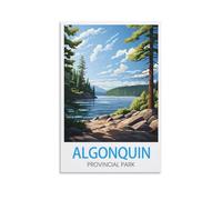 EZMLFA Paint by Numbers for Adults,Algonquin Provincial Park Canadas DIY Oil Painting Kits Painting by Numbers Drawing on Canvas Art Home Decor Gifts 50x60cm