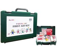 Ezy-Aid Paediatric Child Minder - Children's First Aid Kit (Paediatric First Aid Kit (in Box))