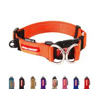 EZYDOG Double Up Dog Collar | Dog Collar Small, Medium, Large Dogs, Reflective Dog Collar, Supreme Comfort, Soft Neoprene Material, Strong Nylon Webbing (Small, Orange)