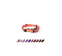 EZYDOG Double Up Dog Collar Dog Collar Small, Medium, Large Dogs, Reflective Dog Collar, Supreme Comfort, Soft Neoprene Material (Small, Orange)