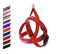 EzyDog Quick Fit Dog Harness | Dog Harness Small, Medium, Large, K9 Dog Harness, Reflective Stitching, Water Resistant Materials, No Pull (Red)