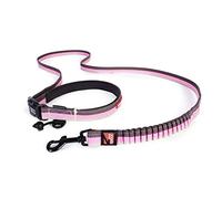 EzyDog Road Runner Lead, Candy Stripe