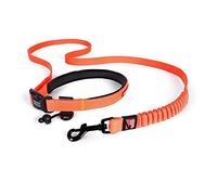 EzyDog Road Runner Lead - Comfortable Padded Handle, Reflective Thread, 1.8M Lead (Orange) for Small, Medium & Large Dogs