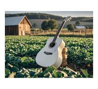 EZYHO 5D Diamond Painting DIY Kit White Guitar Farm Diamond Art Full Round Diamond Crystal by Number Embroidery Crafts Suitable for Living Room Home Wall Decoration 50 * 60CM