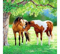 EZYHO 5D Diamond Painting,Full Round Diamond 5D DIY Diamond Painting Two Horses Embroidery Cross Stitch Rhinestone Mosaic Home Decor 50x60cm Jyu339