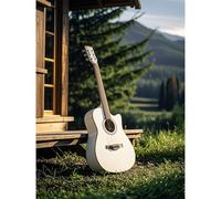 EZYHO 5D Diamond Painting Grassland Farm White Guitar Diamond Painting DIY Kit Full Round Diamond Crystal Digital Embroidery Crafts Suitable for Living Room Home Wall Decoration 40 * 50CM