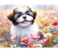 EZYHO Diamond Painting Kits DIYDiamondRhinestone Crystal Painting Painting by Numbers for Children Adults Home Wall Decoration Daisy Flower Puppy 40 * 50CM