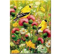 EZYHO DIY Diamond Art Flowers and Birds Diamond Painting Kits for Adults Full Drill Mosaic Embroidery Dimond Picture 50 * 50CM