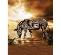 EZYHO DIY Diamond Painting Full Drill Kit African Animal Zebra Modern Art Home Striped Zebra Roam River Drinking Water Dusk Wildlife Image 50 * 60CM