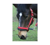 Ezyloader Head Collar Adapter - One Size