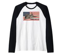 F-117 Nighthawk Stealth Aircraft American Flag Aviation Raglan Baseball Tee