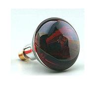 F BRIGHT Infrared Lamp E27 250 W Red 12.5 cm