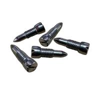 F Fityle 5Pcs Saxophone Screws Pointed Screws Sturdy Compact Woodwind Instrument Maintenance Accessories Replacement Repairing Parts