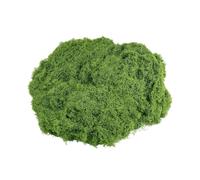 F Fityle Artificial Green Plants 100G Faux Patio,Decorative,Fake Green Lichen Plants,for Potted Plant Crafts Diorama Models, Dark Green