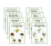 F Fityle Educational Poster Life Cycle Chart Set Biology Learning Poster Classroom Wall Chart With Step By Step Sequence And Visual Aids Paper Material