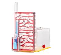 F Fityle Housing Nest Habitat Transparent Acrylic with Feeder Farm Display Box for Gift Lovers Birthday Decor Children's Day, Red