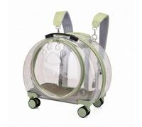 F Fityle Industrial Carrier Transparent Pet Carrier Suitcase Pet Trolley Pet Luggage Pet Crate With Wheels Clear Panels PC, Green, 1904-2 Fully Transparent Light Green