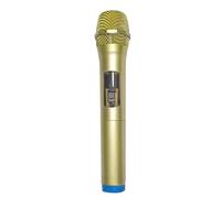 F Fityle Prop Activity Show Recording Model Pretend Play Decorative Pretend Singing for Journalist Costume Kids Girls Boys, Gold Blue