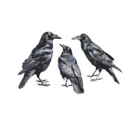 F Fityle Realistic Crows Wall Sticker Wall Decal PVC Easy to Install Versatile Art Decor Mural for Wall Corner Living Room Decoration