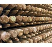 F&G Supplies Round Fence Posts 1.8m x 40mm Pressure Treated 10 Pack