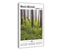 F I N U C B Mount Mitchell North Carolina USA Canvas Prints - Highest Peak East Coast Wall Art, Blue Ridge Mountain Landscapes Poster for Alpine Decorations 20x30