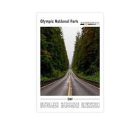 F I N U C B Olympic National Park Washington USA Canvas Prints - Temperate Rainforest Wall Art, Pacific Northwest Landscapes Poster for Nature Decorations 24x36in
