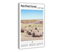 F I N U C B Petrified Forest Arizona USA Canvas Prints - Ancient Wood Fossils Wall Art, Painted Desert Landscapes Poster for Geology Theme Decorations 20x30inch(5