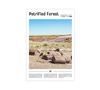 F I N U C B Petrified Forest Arizona USA Canvas Prints - Ancient Wood Fossils Wall Art, Painted Desert Landscapes Poster for Geology Theme Decorations 24x36inch(6